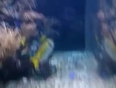 Underwater santosa singapore
