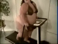 Fat_woman_on_treadmill