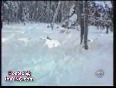 Funny winter accident