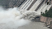 Watch: Salal Dam gates opened amid rising Chenab River levels after heavy rainfall in J-K