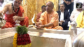 Yogi offers prayers at Kashi Vishwanath Temple in Varanasi