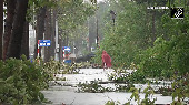 Typhoon Bualoi wreaks havoc in Vietnam