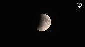 Moon enters Earth's shadow as Partial Lunar eclipse begins in New Delhi