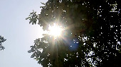 Ch'garh faces heatwave conditions as temp soars around 44 degrees Celsius