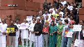 INDIA bloc MPs protest in Parl complex against SIR exercise in Bihar