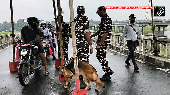 High alert in Darjeeling due to ongoing protests in Nepal, vehicular movement stopped