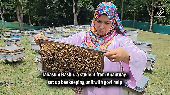 Anantnag Girl Turns Beekeeping into Livelihood with Govt Support