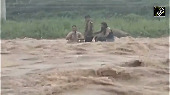 Army, SDRF rescue minor boy trapped in flooded river in J-K's Rajouri