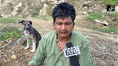 Hero dog saves 63 lives during Himachal flash floods