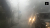 Dense fog covers parts of Shimla