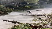 Viral video shows man crossing flooded river on hanging bridge in Arunachal