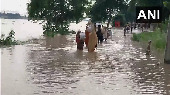 Bihar Flood: Ganga, Sone river in spate as rain lashes state
