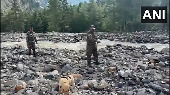 Man's best friend becomes lifesaver in flash flood-hit Dharali