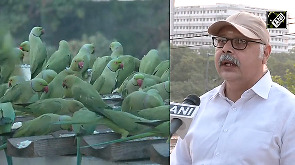 Chennai couple turns terrace into bird haven