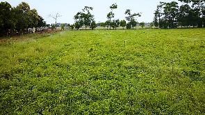 Gujarat's digital push brings transparency and growth to farming
