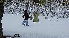 Heavy Snowfall in Kashmir: Joy, beauty and challenges