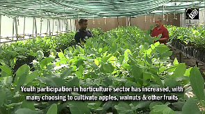 Ultra-High-Density apple farming boosts income & employment in Rajouri