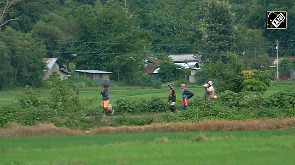 Long-Term Impact Of Violence Hits Manipur Agriculture, Farmers Suffer