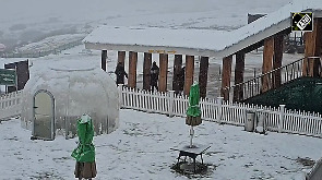 Kashmir Turns Into Winter Paradise With Fresh Snowfall