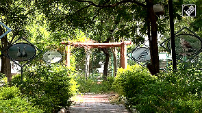 From Wetlands to Wildlife: Gujarat's Model for Biodiversity Protection