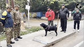 Lucknow Municipal Corporation launches campaign against unlicensed dog walkers in Indira Nagar