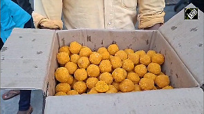 Nalanda celebrates as Nitish Kumar takes oath as Chief Minister of Bihar for the 10th time