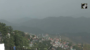 Rain,hailstorm lash parts of Himachal: Tourists stunned by Shimla's post-rain beauty