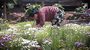 Manipur youth leads the way in organic farming 