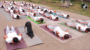 NDRF-trained stray dog steals spotlight at Udhampur yoga session