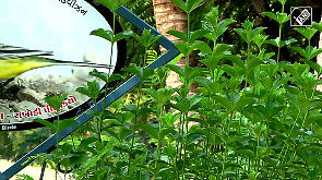 From Wetlands to Wildlife: Gujarat's Model for Biodiversity Protection