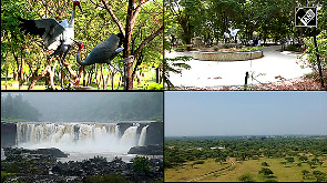 From Wetlands to Wildlife: Gujarat's Model for Biodiversity Protection
