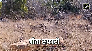 Kuno: The Perfect Blend of Cheetah Safari and Luxury Living