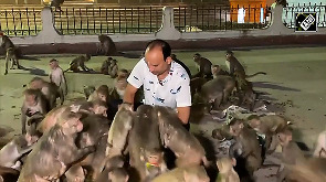 Hanuman Sena feeds thousands of monkeys in Ayodhya on 4th Tuesday of Jyeshtha