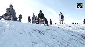 Sledge ride adventures boost winter tourism in Gulmarg