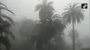 Unseasonal fog covers Rajasthan's Mount Abu