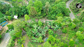 Manipur's orange bowl blends tradition with ecological wisdom