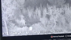 Video: BSF foils 'major' infiltration bid along IB in Samba, kills 7 terrorists