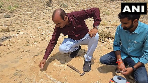 Jurassic-era flying Dinosaur fossil found in Rajasthan village