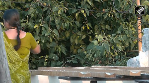 Chennai couple turns terrace into bird haven