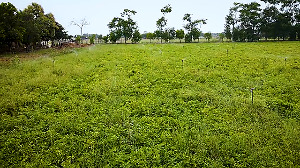 Gujarat's digital push brings transparency and growth to farming