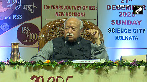 'Who is the king of the jungle', RSS Chief's Message of Unity for Hindus