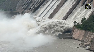 Watch: Salal Dam gates opened amid rising Chenab River levels after heavy rainfall in J-K