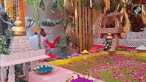 Devotees enjoy 'Panghat Holi' in Vrindavan