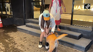 Genelia D'Souza shares adorable moment with a street dog 