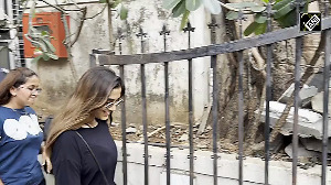 Saiee Manjrekar stuns in wine pants and sleek street style