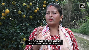 Rise in temperature turns Nepal's sweet-orange business sour