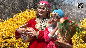 Forget Tulip Gardens, this almond blossom wonderland in Kashmir is a must-visit