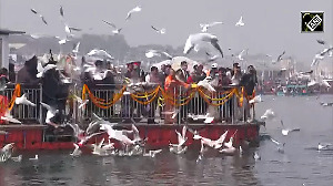 President Murmu feeds migratory birds at Triveni Sangam