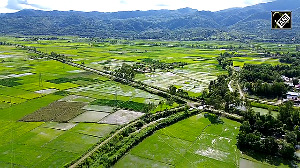 The lost harvests of Manipur's conflict zones