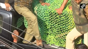 Forest Team tranquillises Leopard in Jaipurs VVIP Civil Lines after a 2 hour rescue operation